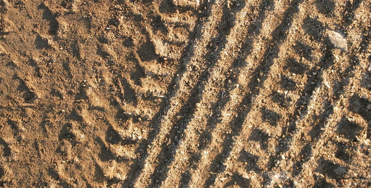 Page cover